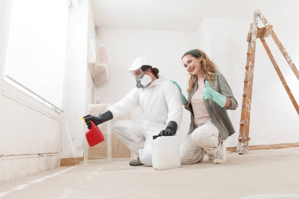 Best Basement Mold Removal  in Laurel Park, NC